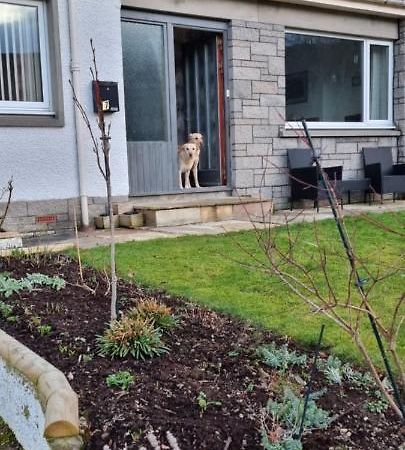Bed and Breakfast Bb@No17 Aviemore Zewnętrze zdjęcie