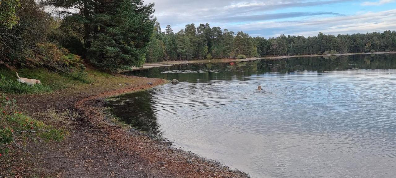 Bed and Breakfast Bb@No17 Aviemore Zewnętrze zdjęcie