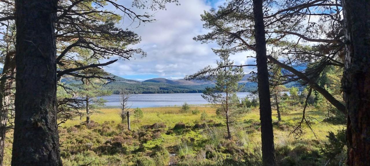 Bed and Breakfast Bb@No17 Aviemore Zewnętrze zdjęcie