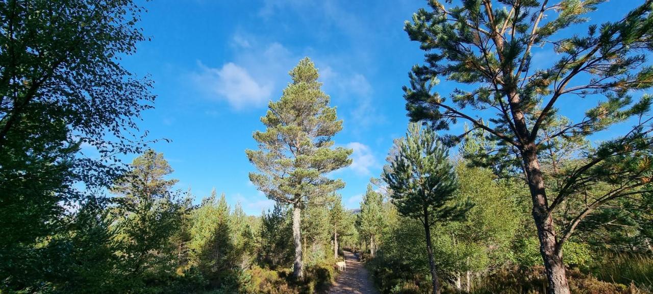 Bed and Breakfast Bb@No17 Aviemore Zewnętrze zdjęcie