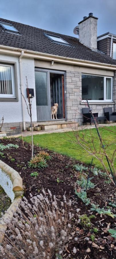 Bed and Breakfast Bb@No17 Aviemore Zewnętrze zdjęcie