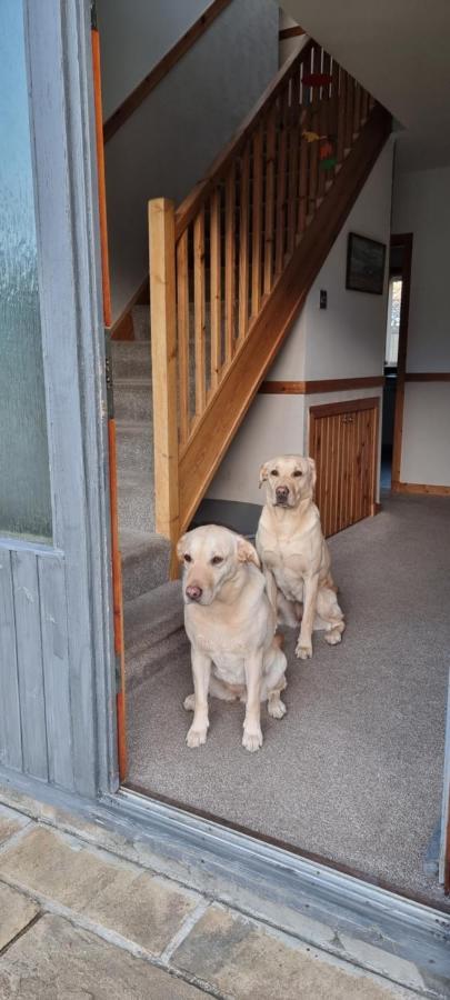 Bed and Breakfast Bb@No17 Aviemore Zewnętrze zdjęcie